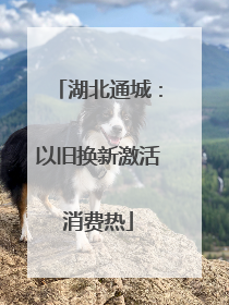 湖北通城：以旧换新激活消费热